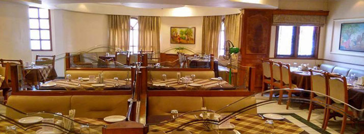 2423/Hotel Apna Avenue - Indore 17.jpg